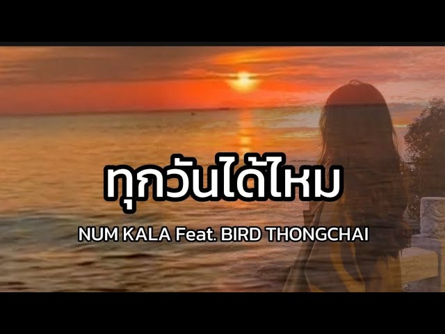 Lyrics. ทุกวันได้ไหม - NUM KALA Feat. BIRD THONGCHAI ( เนื้อเพลง ) class=