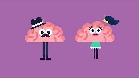 Male & female brains: same difference?