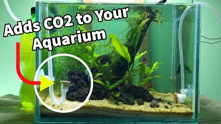 Make Homemade CO2 diffuser|Effective Cheapest way to add CO2 to planted aquarium|Diy co2