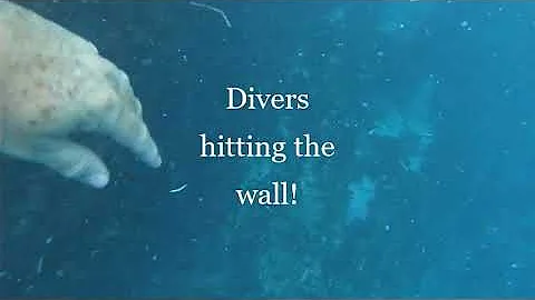 Randy Shepard - Extreme Drift Diving!