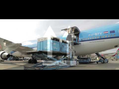 Carrying and caring Jumping Horses with Air France KLM Cargo