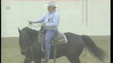 Training Tips: Neck Reining and Pivoting, part 2, eXtension