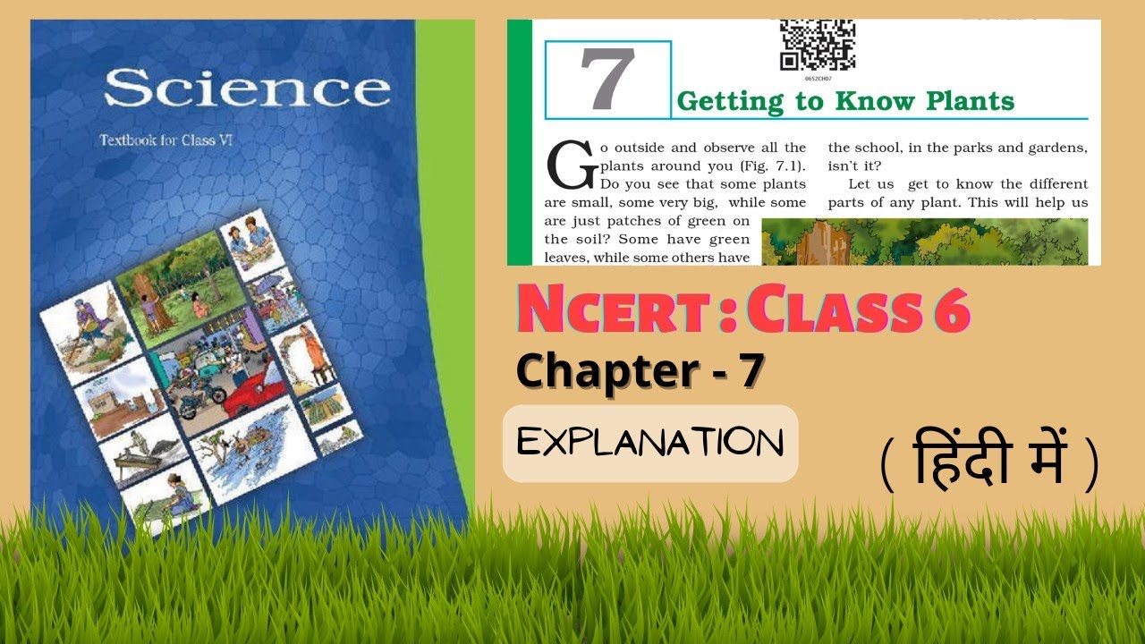 Getting to Know Plants [ Full Explanation ] In Hindi | NCERT Class 6 ...