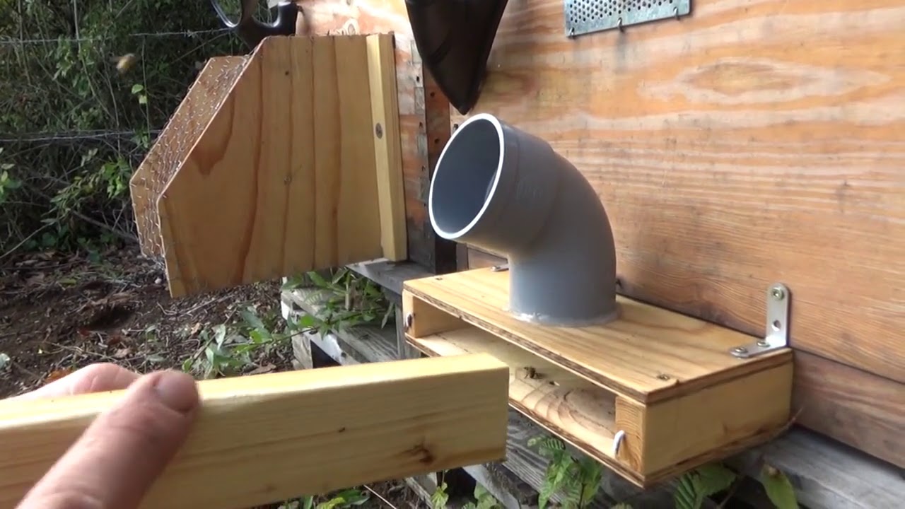 Frelon asiatique - Bilan sur les muselières et planches Norma après six semaines s'utilisation