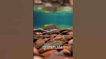 (إِنَّ اللَّهَ وَمَلَائِكَتَهُ يُصَلُّونَ عَلَى النَّبِيِّ ) القارئ ‏ هزاع البلوشي