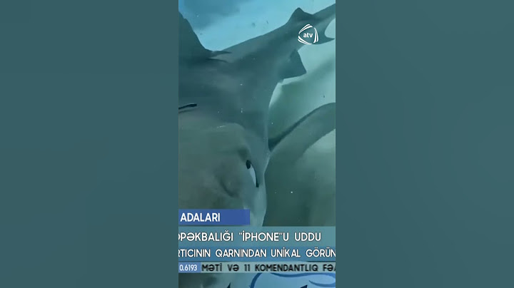 Köpəkbalığının mədəsi görün necə imiş - Şok görüntü #keşfet