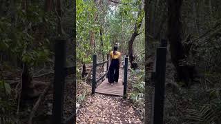 So Amazing! 💖  Swimming in the Jungle Of Punta Cana With Turtles 🐢 #shorts30 #shorts #travelvlog