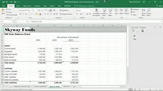 Module 4 Case 3 Skyway Funds, pt. 5