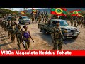 ODUU Waxabajjii 1 2026 Waraanni Bilisummaa Oromoo Magaalota Hedduu Toohachaa Oole Jedhe Oolmaa Oro 