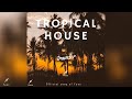 Faos  traveler    tropical house 2022 no copyright music 2022