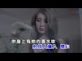 桂瑩瑩 香水有毒DJ Remix左伴右唱 桂瑩瑩 香水有毒DJ Remix左伴右唱
