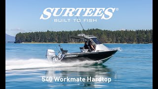 540 Workmate Hardtop