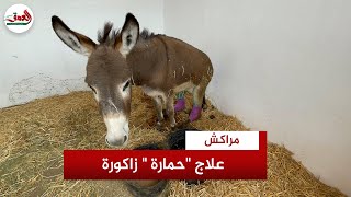 بعد نقلها لمراكش.. 