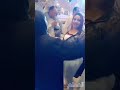 سجنونى و اخدو المفاتيح قالو لى سجانك غايب سجنونى و اخدو المفاتيح قالو لى سجانك غايب