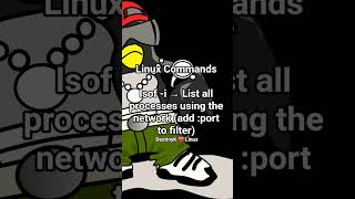 Linux ❤️ Commands ❤️ lsof -i → List all processes using the network (add :port to filter)
