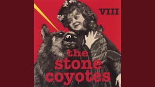 Video thumbnail of "The Stone Coyotes - Trouble Down in Texas"