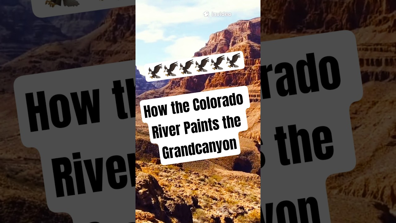 1080 How the Colorado River Paints the Grand
