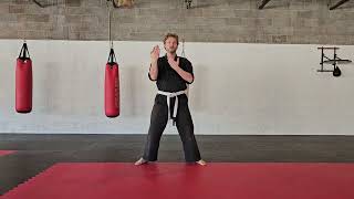 KARATE Fundamentals --Soft Style Inside Outward Block screenshot 1