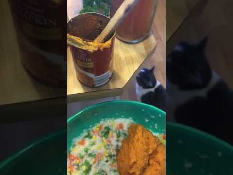Video: Ang Pinakamahusay Na Mga Pagkain Para Sa Mga Alagang Hayop Na May Kanser - Homemade Dog Food - Homemade Cat Food