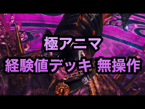 【メビウスファイナルファンタジー】極アニマ 経験値デッキ無操作