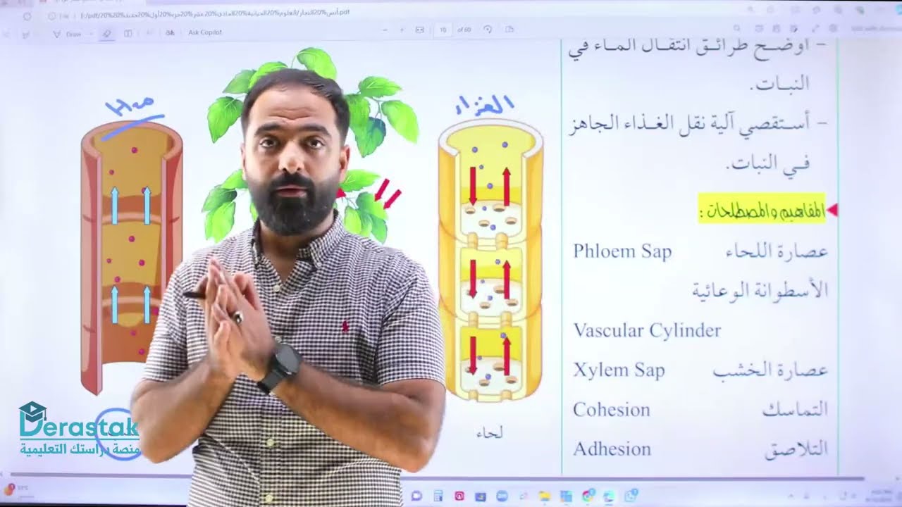 النقل في النبات ( الأنسجة الوعائية )|| الصف الحادي عشر ||جيل 2008  ||العلوم الحياتية ||أ.أنس النجار