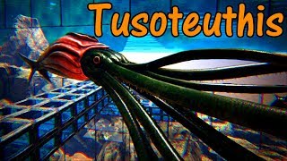 Tusoteuthis Educational Special [86]
