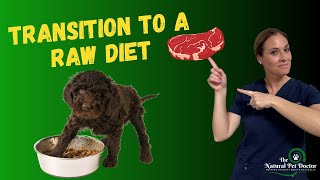 How To Transition Your Dog & Cat To A Raw Food Diet - Dr. Katie Woodley | Holistic Veterinarian by Dr. Katie Woodley - The Natural Pet Doctor 2,825 views 9 months ago 11 minutes, 42 seconds