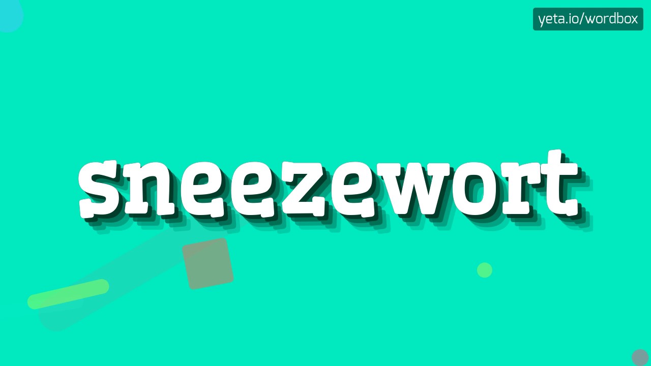 SNEEZEWORT - How to pronounce Sneezewort?