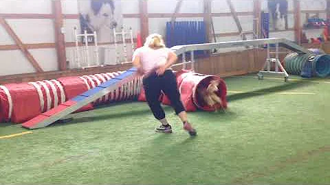 Training Fun with Artie Ross