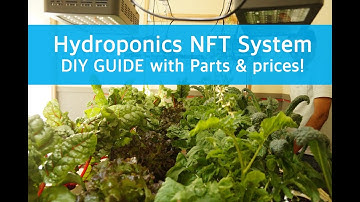 Hydroponics - NFT System DIY Guide