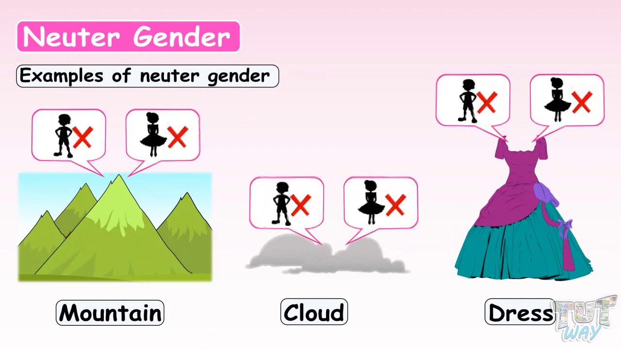 common-genders-and-neuter-genders-english-grade-2-3-tutway-youtube