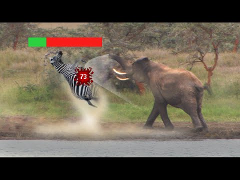 Are Elephants OP?