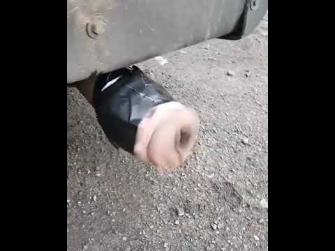 اغرب شكمان عربيه2019