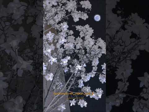 ستوريات دينية لكننا في ظن لا يخيبنا كل الذين اتجهوا إلى الل ه بأجنحة مكسورة عادوا وهم يحلقون