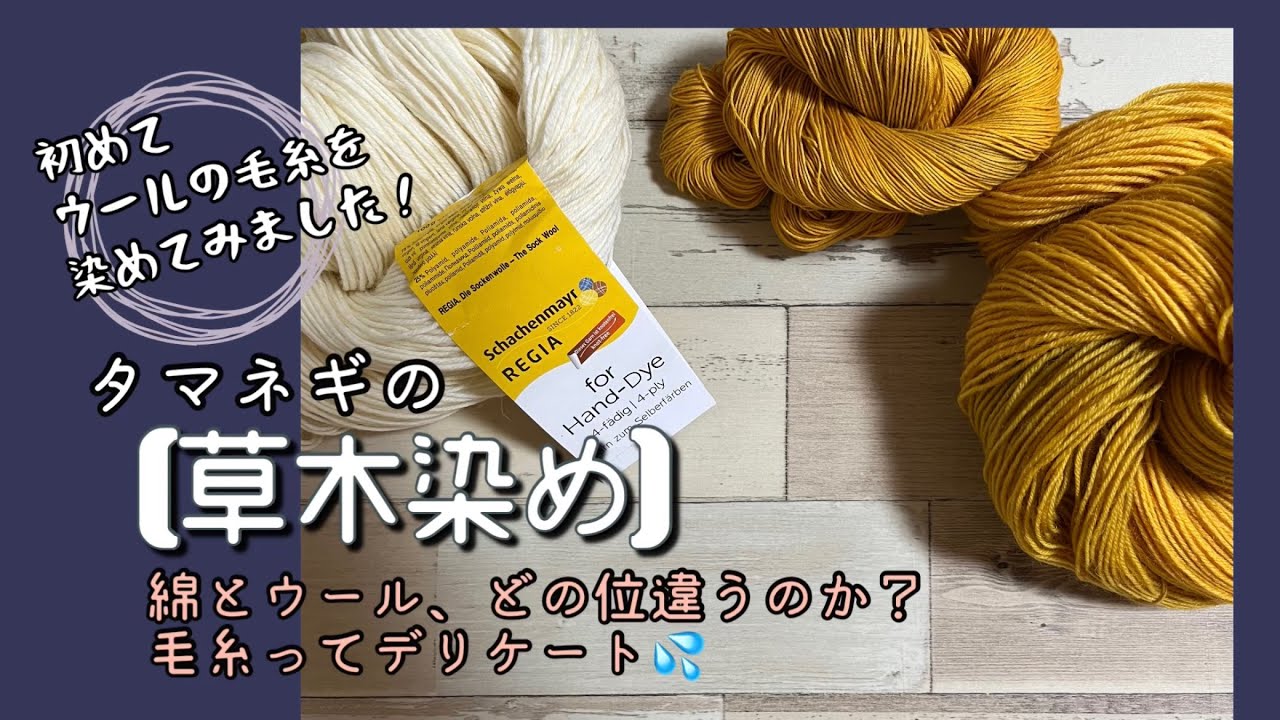 117.【草木染め】玉ねぎ染め│初めてウールを染めてみました‼︎綿とウール、どのくらい違うのか？毛糸ってデリケート