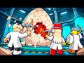 Wir haben die DUNKLE WAHRHEIT herausgefunden in Roblox Crack the Egg...