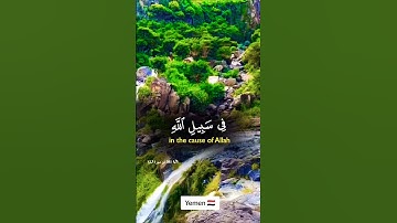 تلاوة خاشعة تفوق الوصف تريح النفس #elmulquranعلم #قران_كريم #تلاوة #المصحف #trend #لايك #اكسبلور