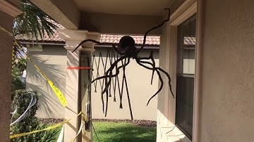 Spider attack Halloween prop (pro props) NOT for sale
