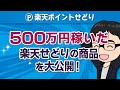 楽天せどりで500万円稼いだ利益商品を一挙公開【解説付き】