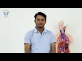 Bhartiya Skill Development University Others(5)
