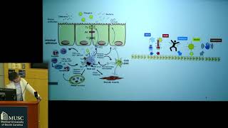 Consider Chiari Grand Rounds: 'Mast Cell Activation'  Anne Maitland, MD, PhD