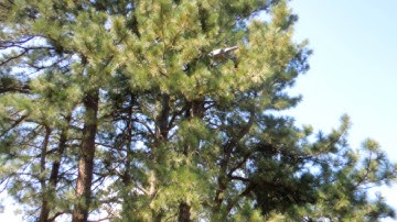 Flying AR Drone Naked with iPad