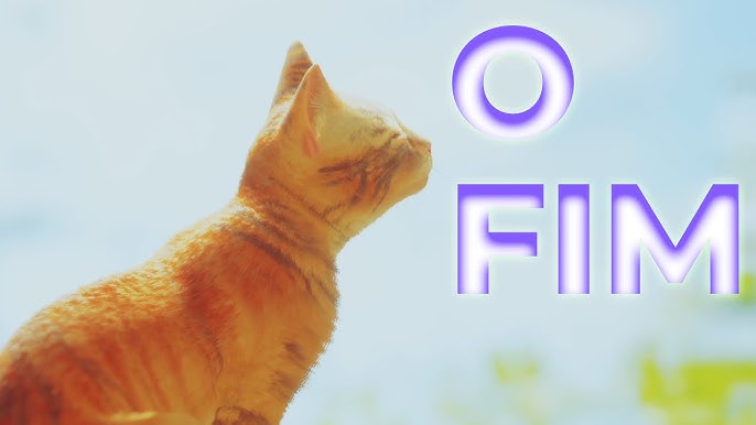 Novo jogo do gatinho laranja 'Stray' ajuda gatos na vida real