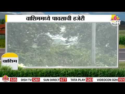 वाशिममध्ये 50 दिवसांच्या खंडानंतर मुसळधार पाऊस | Washim Rain News | Gaon Tithe Saam TV