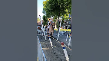 ?? Ringrijden Grijpskerke ????  Nederland @TravelwithHugoF  #ringrijden #horses #grijpskerke