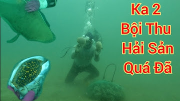 Lặn biển lagi - cách bờ 5 hai lý bội thu hải sản ốc dâu gặp dan bằng ( P24