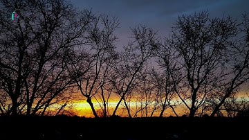 سورة الضحى بصوت الشيخ وديع اليمني - Surah Ad-Duha 93