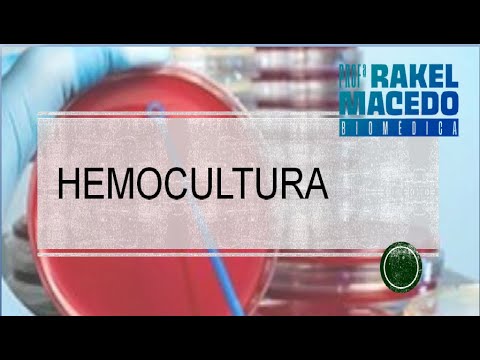 Hemocultura