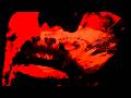 Selikal - "In Blood We Lust" Tao & Sound Records - Official Music Video