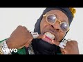 Elephant Man - Look Yah (Official Video)